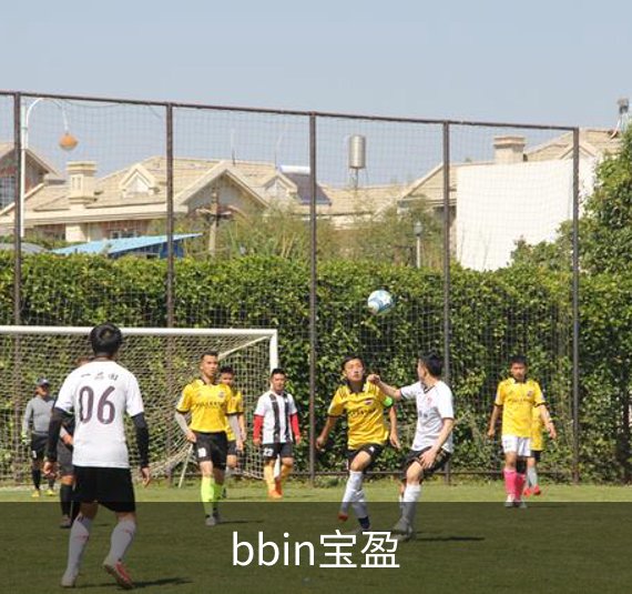 bbin宝盈概况